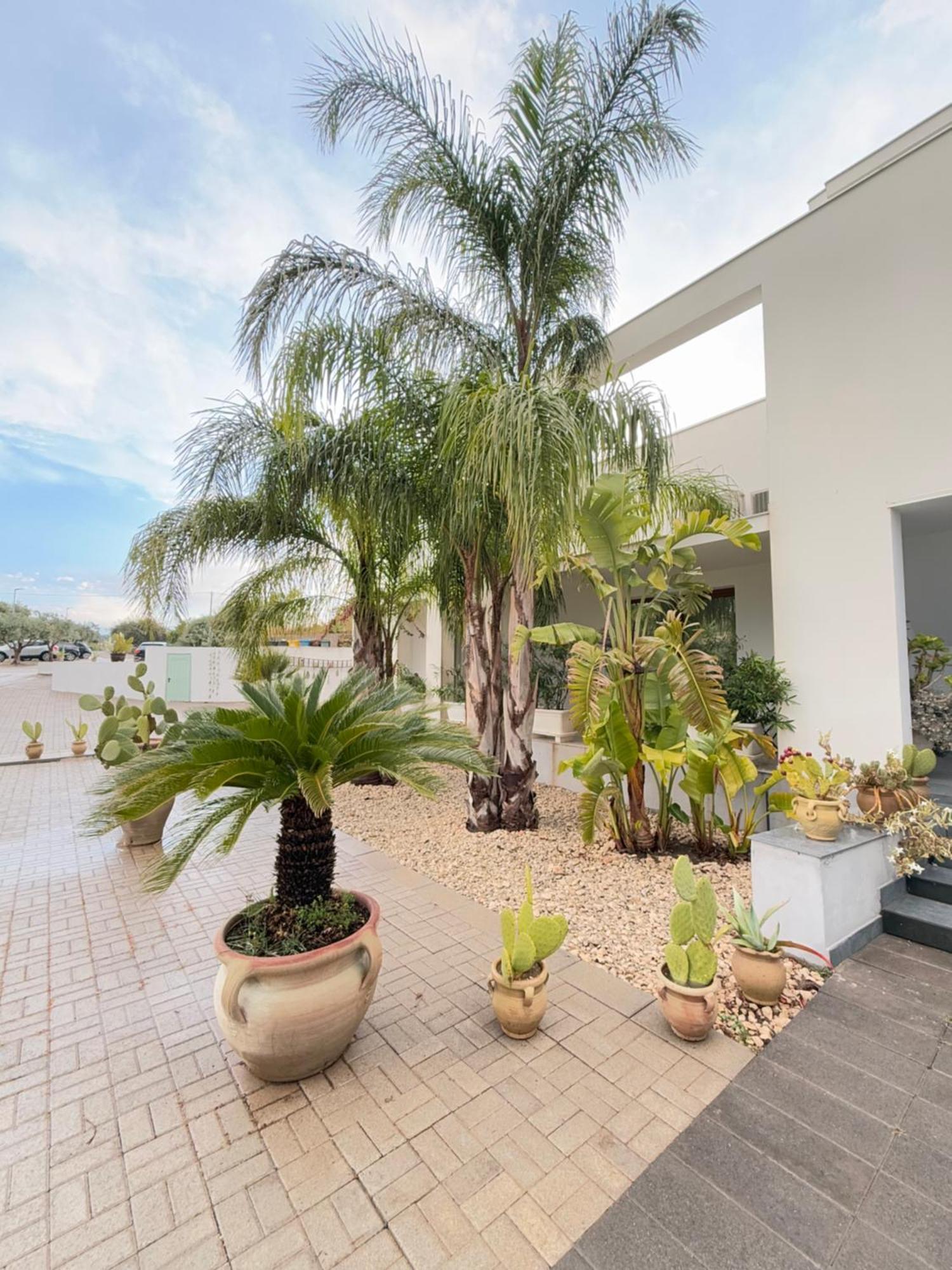 Villa Landolina Ното Екстер'єр фото